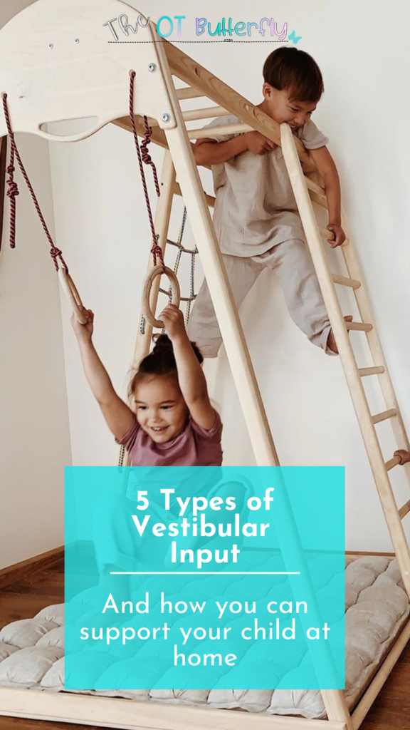 5 types of vestibular input