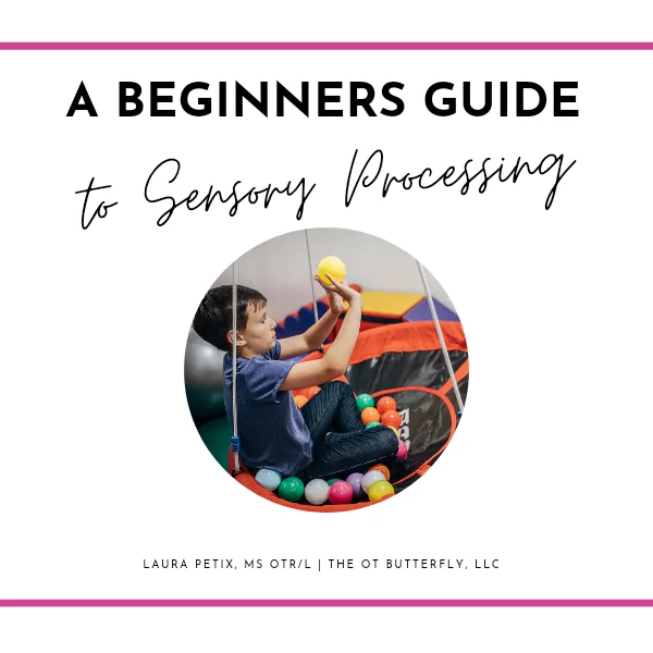 A Beginners Guide to Sensory Processing